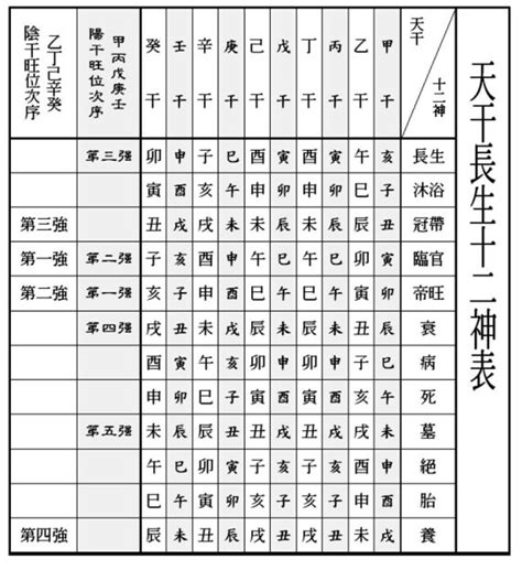 長生十二表|【十二長生表】十二長生表詳解：瞭解你的八字五行運。